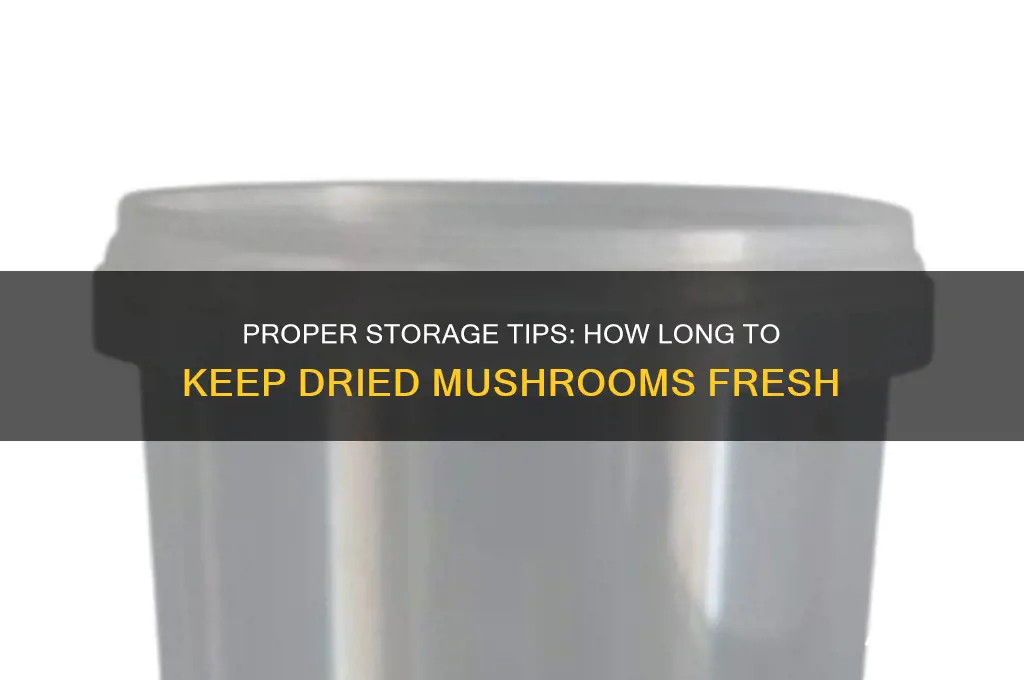 how long to keep dried mushrooms