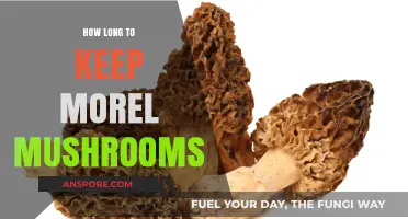 Proper Storage Tips: Extending the Freshness of Morel Mushrooms