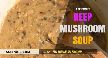 Proper Storage Tips: How Long to Keep Mushroom Soup Fresh