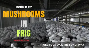 Optimal Mushroom Storage: How Long to Keep Them Fresh in the Fridge