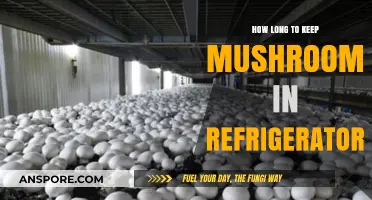 Proper Mushroom Storage: How Long Do Mushrooms Last in the Fridge?