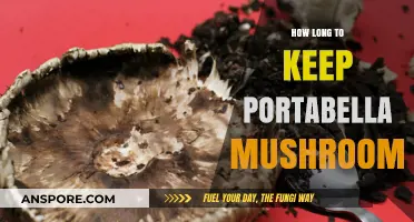 Portabella Mushrooms Storage Guide: Optimal Freshness and Shelf Life Tips