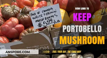 Portobello Mushrooms Storage Guide: Optimal Freshness and Shelf Life Tips