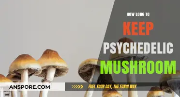 Proper Storage Tips for Psychedelic Mushrooms: Maximizing Shelf Life
