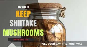 Shiitake Mushroom Storage: Optimal Freshness and Shelf Life Tips