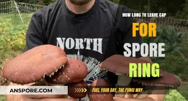 Optimal Spore Ring Growth: Timing Your Cap Removal for Best Results