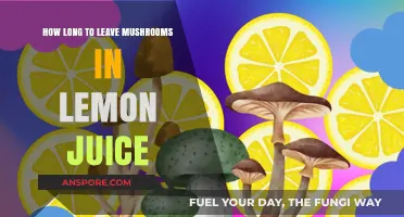 Perfect Preserving: Optimal Lemon Juice Time for Mushrooms