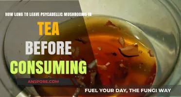 Perfect Psychedelic Mushroom Tea: Optimal Soaking Time for Safe Consumption