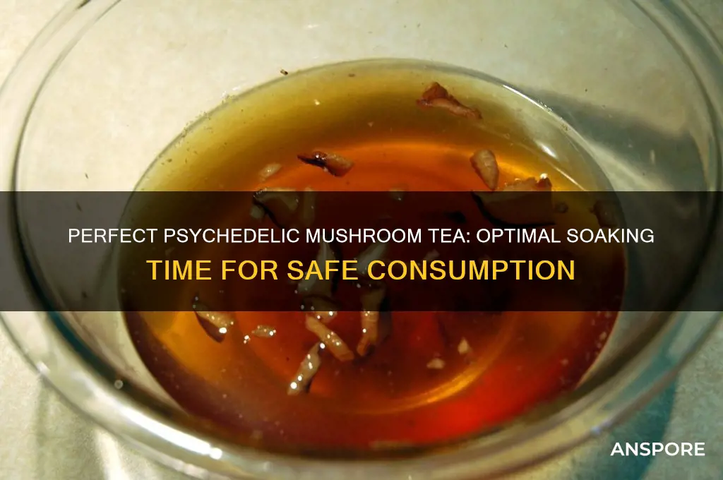 how long to leave psycadellic mushrooms in tea before consuming