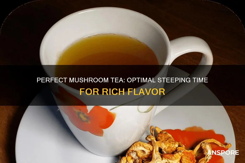 how long to let mushroom tea steep
