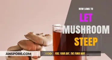 Perfect Mushroom Steeping Time: Tips for Rich, Flavorful Broths