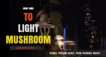 Mastering Mushroom Lighting: Optimal Time for Perfect Fruiting Results
