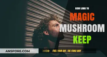 Magic Mushrooms Shelf Life: How Long Do They Stay Potent?