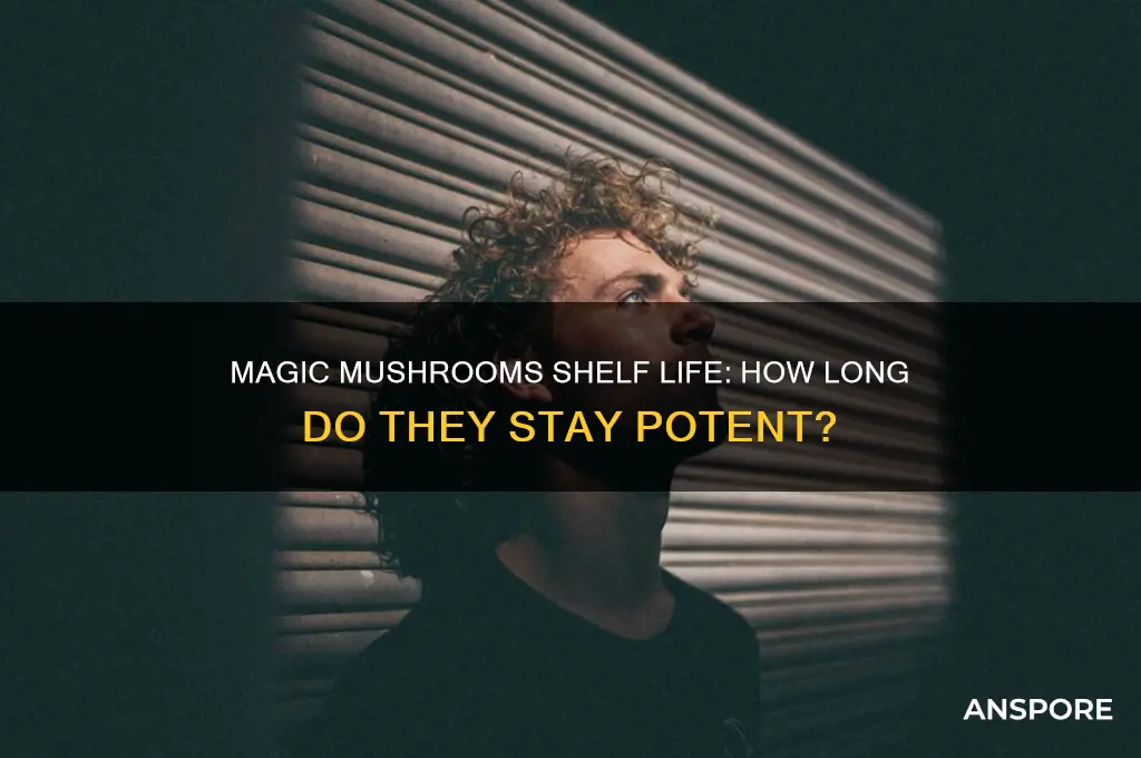 how long to magic mushrooms keep