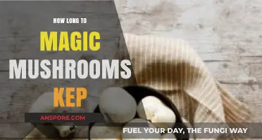 Magic Mushrooms Shelf Life: How Long Do They Keep Fresh?