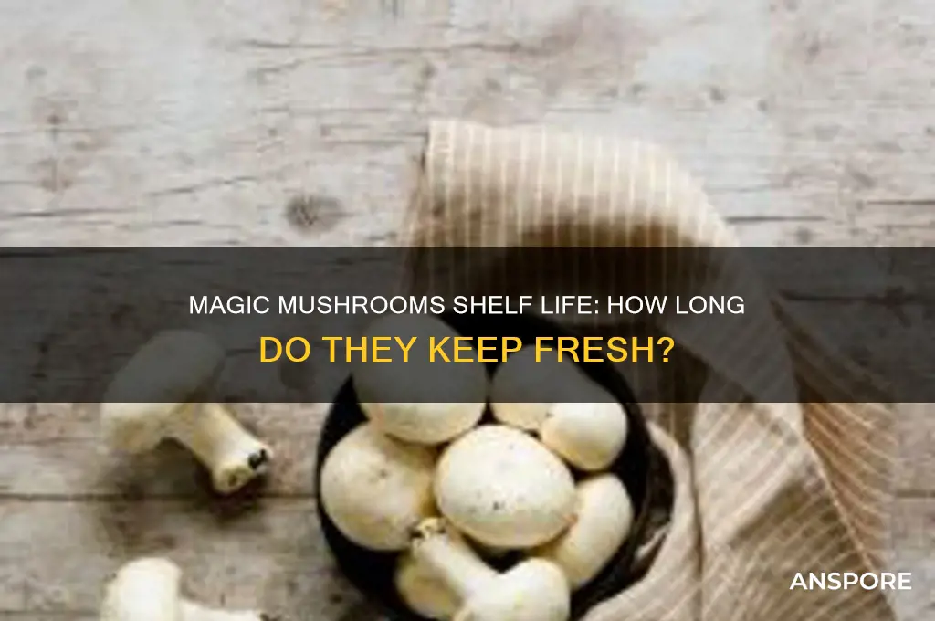 how long to magic mushrooms kep