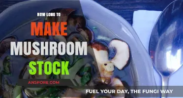 Perfect Mushroom Stock: Time-Saving Tips for Rich, Flavorful Results