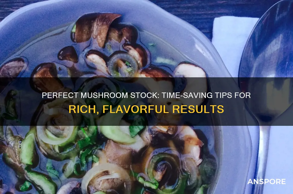 how long to make mushroom stock