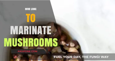 Perfect Mushroom Marinating Times for Flavorful, Tender Results