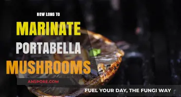 Perfect Portabella Marinating: Timing Tips for Flavorful, Juicy Mushrooms