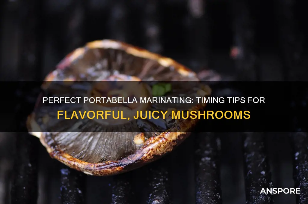 how long to marinate portabella mushrooms