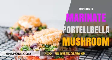 Perfect Portobello Marinating: Time Tips for Juicy, Flavorful Mushrooms