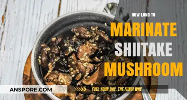 Perfect Shiitake Marinade: Timing Tips for Flavorful, Tender Mushrooms