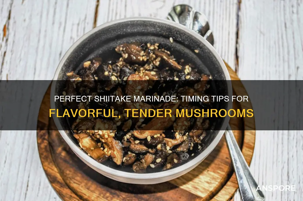how long to marinate shiitake mushrooms
