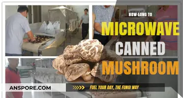 Microwaving Canned Mushrooms: Quick Tips for Perfect Timing and Texture