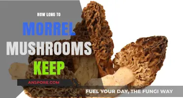 Shelf Life of Morrel Mushrooms: Storage Tips for Freshness