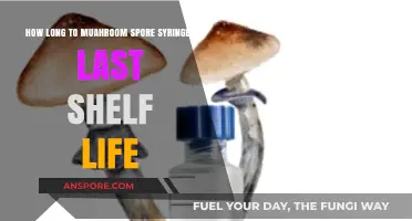 Maximizing Mushroom Spore Syringe Shelf Life: Storage Tips and Duration