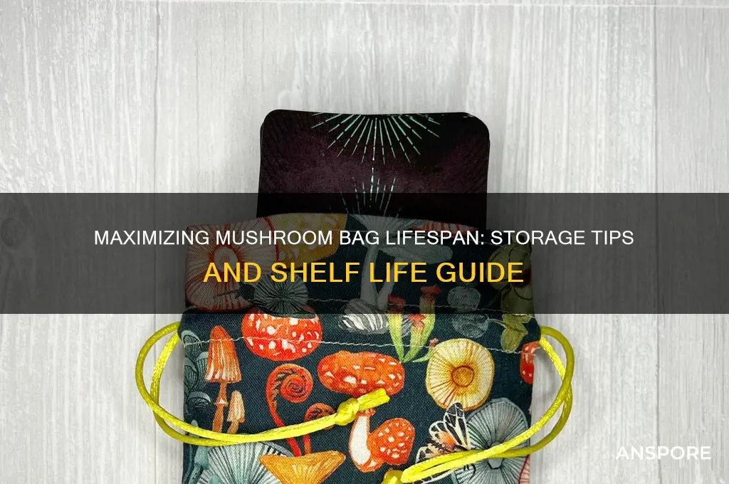 how long to mushroom bags last