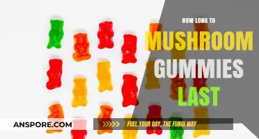 How Long Do Mushroom Gummies Last? Shelf Life Explained