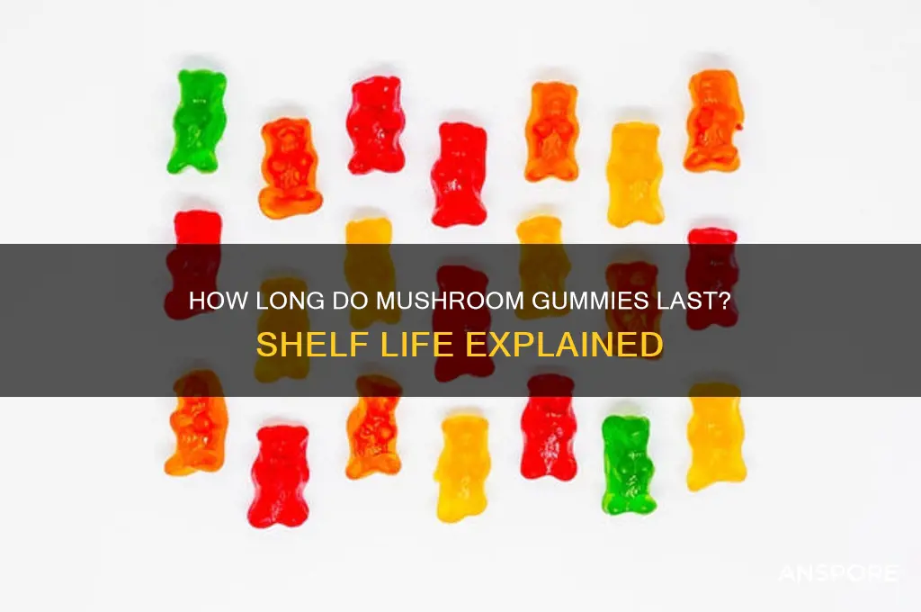 how long to mushroom gummies last