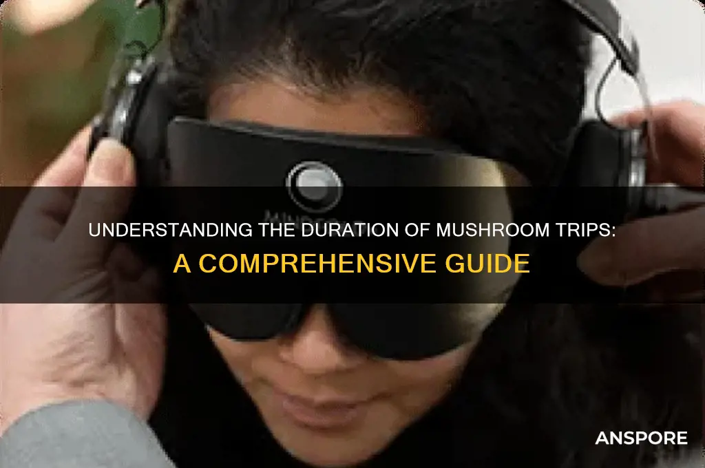 how long to mushroom trips last