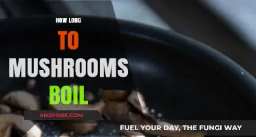 Perfectly Boiled Mushrooms: Timing Tips for Tender, Flavorful Results