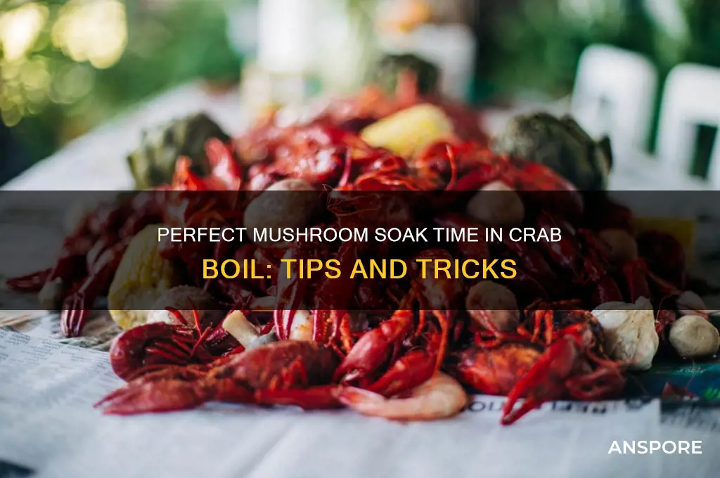 how long to mushrooms soak in crab boil
