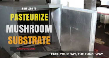 Mastering Mushroom Substrate Pasteurization: Optimal Time for Perfect Results