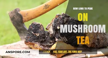 Peak Effects of Mushroom Tea: Timing and Factors Explained