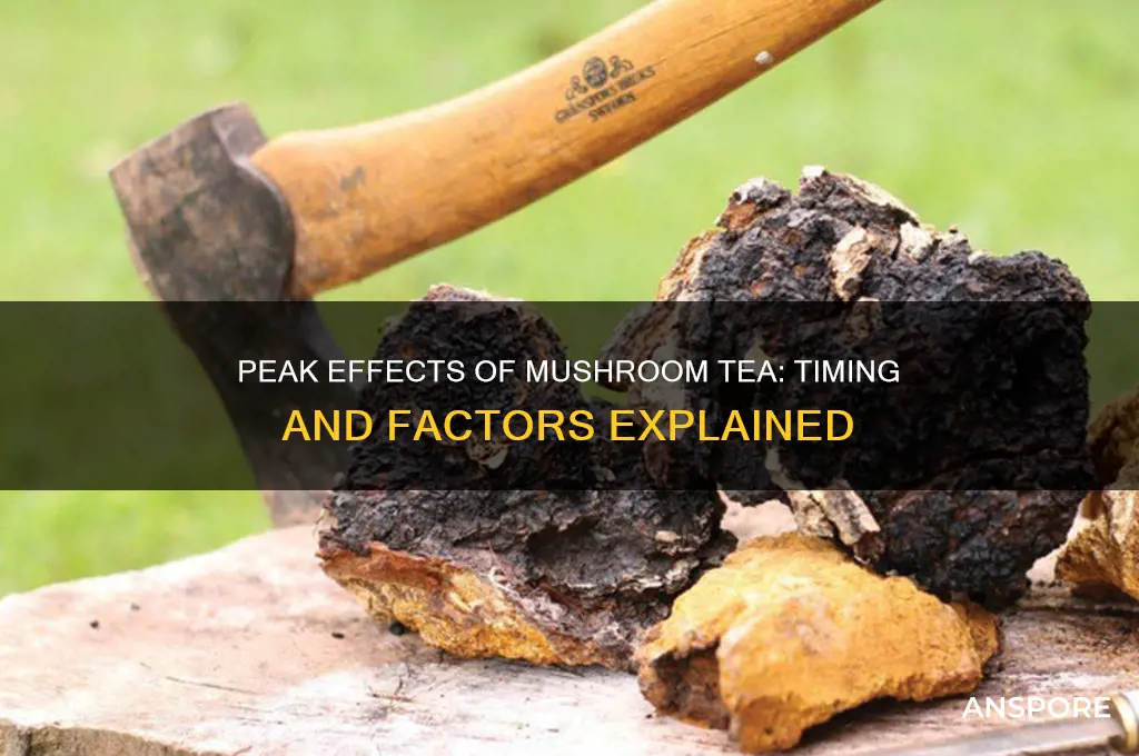 how long to peak on mushroom tea