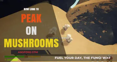 Understanding the Timeline: When Do Mushroom Effects Peak?