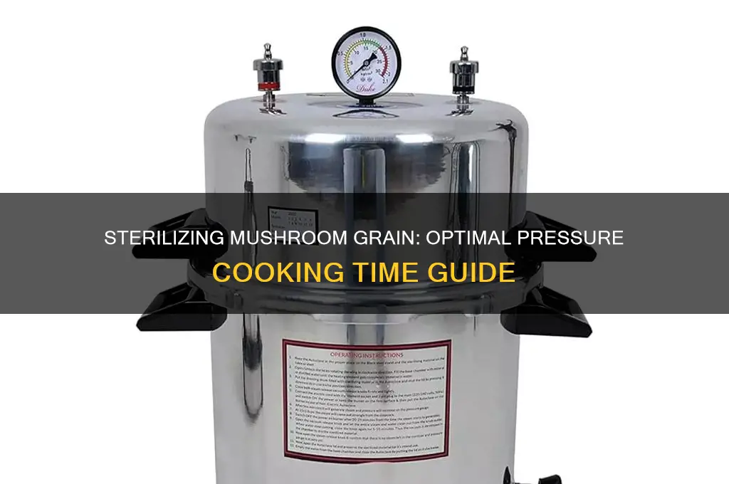 how long to pressure cook mushroom grin for sterilization