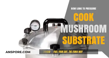 Perfect Pressure Cooking Time for Mushroom Substrate: A Complete Guide