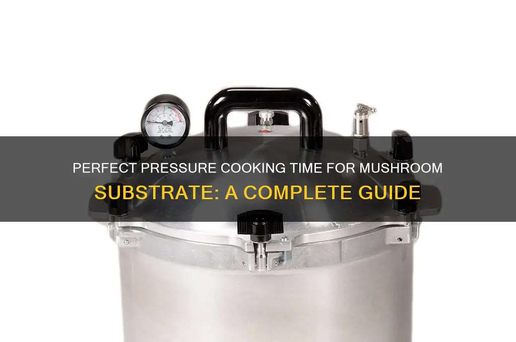how long to pressure cook mushroom substrate