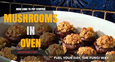 Perfectly Baked Stuffed Mushrooms: Oven Time and Tips