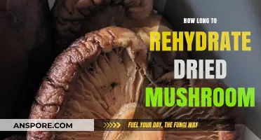 Rehydrating Dried Mushrooms: Time, Tips, and Techniques for Perfect Results