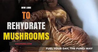 Rehydrating Mushrooms: Time-Saving Tips for Perfect Texture and Flavor