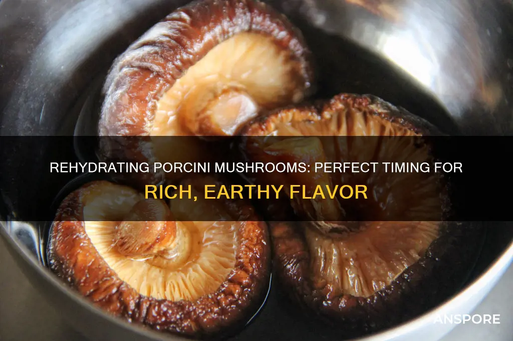 how long to rehydrate porcini mushrooms