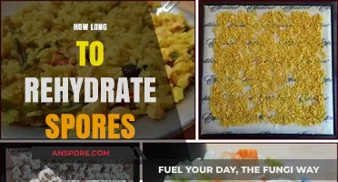 Rehydrating Spores: Optimal Time and Techniques for Successful Revitalization