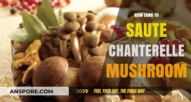 Perfectly Sautéed Chanterelle Mushrooms: Timing Tips for Optimal Flavor